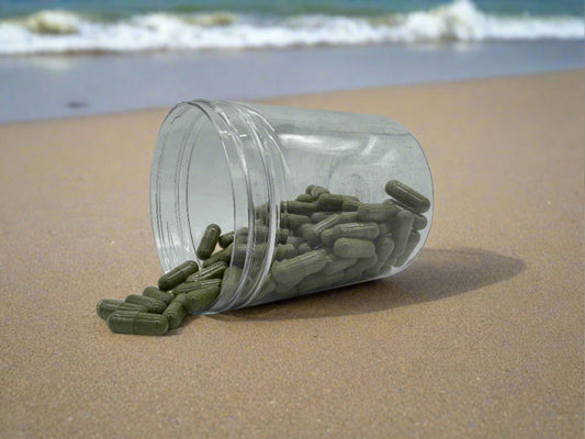 atlantic kelp capsules