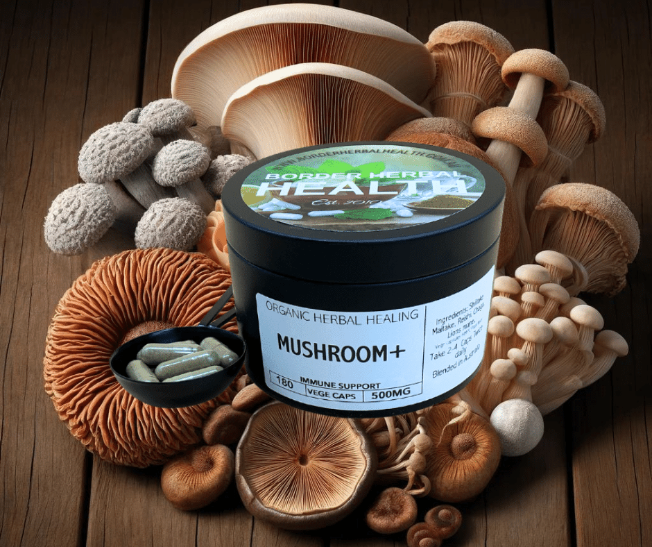 Mushroom + Tin