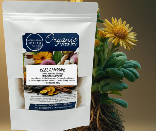 Elecampane