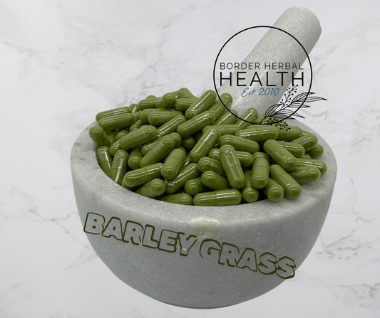 Barley Grass Bottle