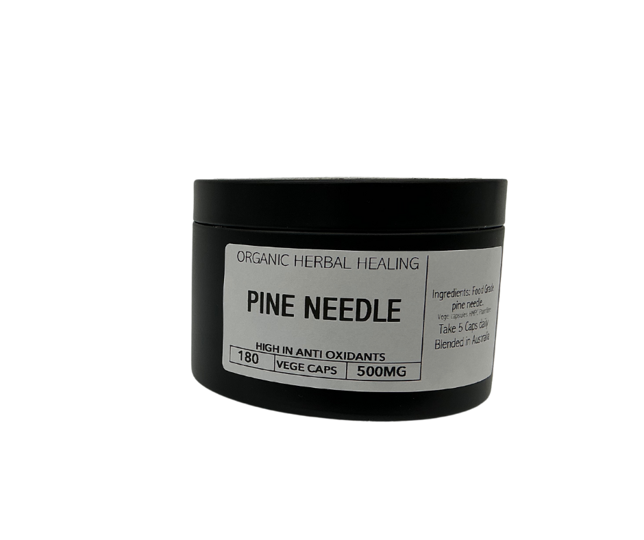 Pine Needle Tin