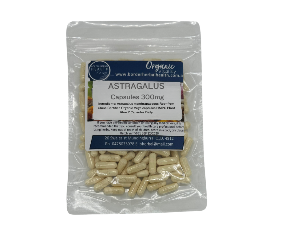 Astragalus